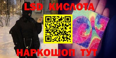 эйфоретик Камышлов